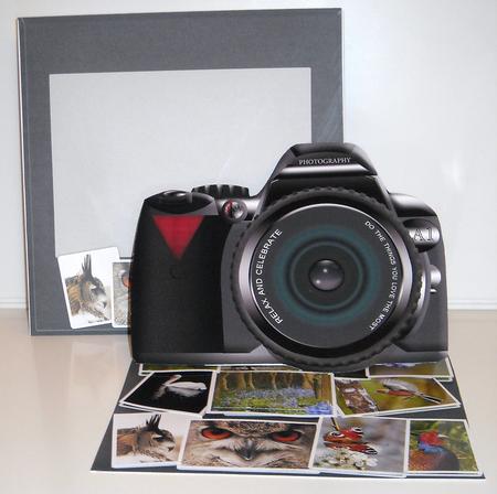 The Modern Photographer Easel Card Kit by Pam Stubley