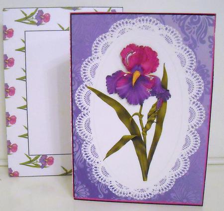 Internal Window Card - Pink & Grape Iris by Pam Stubley