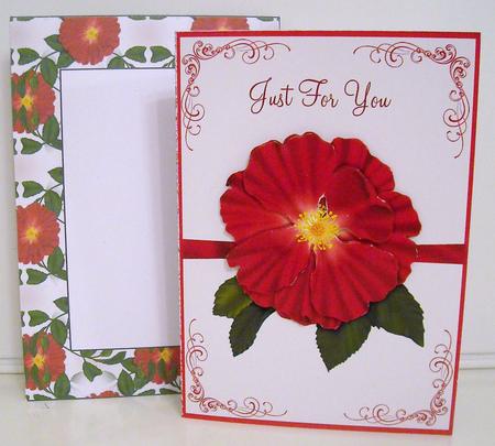 Internal Window Card - Wild Red Rose by Pam Stubley
