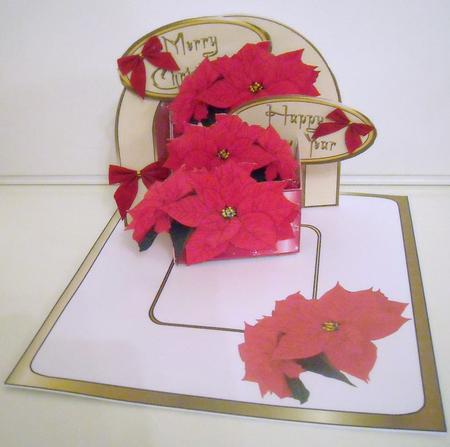 3D Box 'red Poinsettias' by Pam Stubley