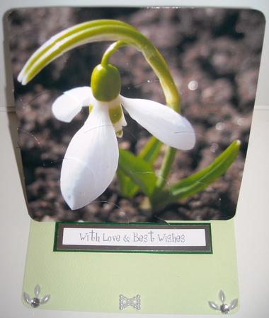 Snowdrop Shell Edged Corner Stacker by Pam Stubley