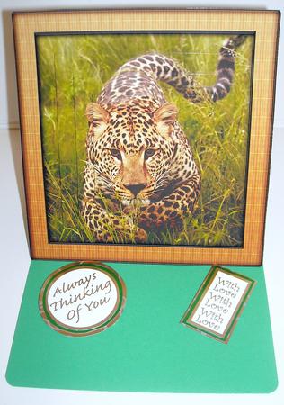 Wild Animal Series - Charging Jaguar by Pam Stubley