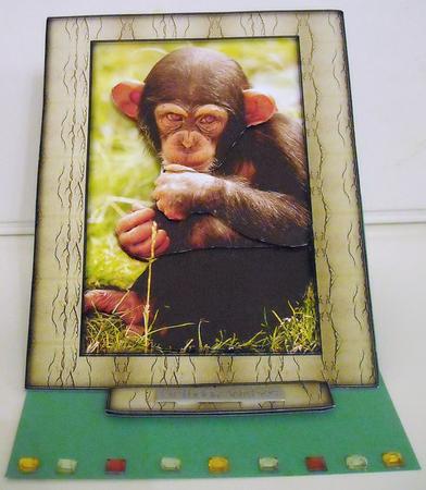 Young Wild Animals - Baby Chimpanzee - Decoupage by Pam Stubley