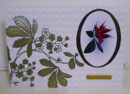 Olive Floral Corner Check A4 Backing Paper by Pam Stubley