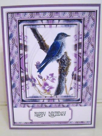 Blue Bird with Violet Flowers by Pam Stubley