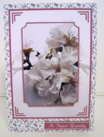 Almond Blossom Sympathy by Pam Stubley