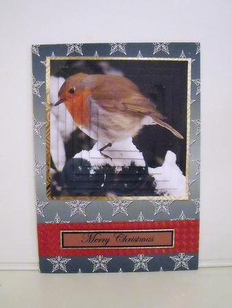 Christmas Flourish Stars in Green and White Backgrounds by Pam Stubley
