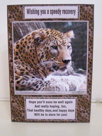 Get Well Leopard by Pam Stubley