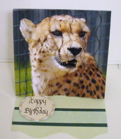 Cheetah Square Wavy Side Stacker by Pam Stubley