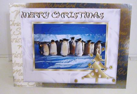 Christmas Penguin Group by Pam Stubley