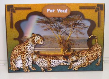 Africa - Leopards by Pam Stubley
