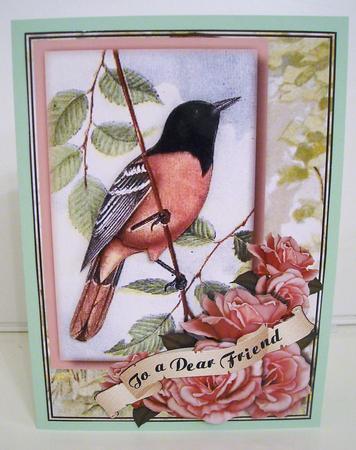 Nature's Best by Pam Stubley