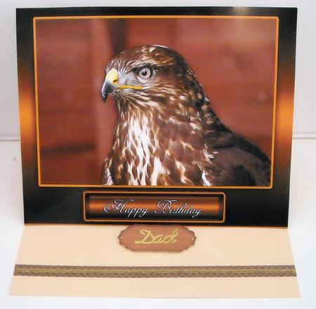 Buzzard Birthday / Father's Day Card by Pam Stubley