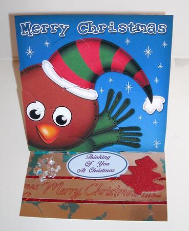 Xmas Robin Fun Novelty Shell Edged Corner Side Stacker by Pam Stubley