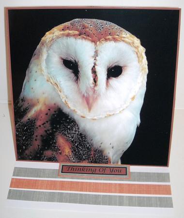 Barn Owl Topper by Pam Stubley