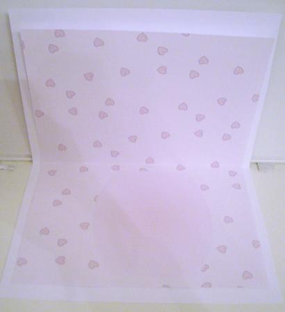 Pink Fairy Dreams Silhouette Blank Insert by Pam Stubley