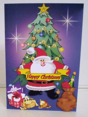 Greetings from Santa by Pam Stubley