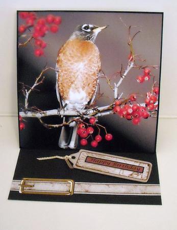 American Robin Topper by Pam Stubley