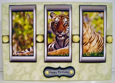 Framed Tiger Card Front by Pam Stubley
