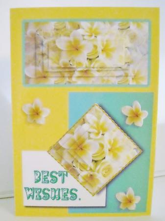 Frangipani Best Wishes by Pam Stubley