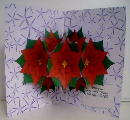 Poinsettia Pop Up by Pam Stubley