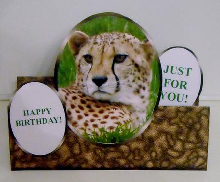 African Cheetah - on the Wild Side - Oval Stepper Card Kit by Pam Stubley