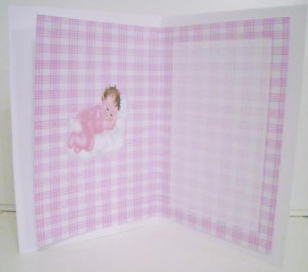 Congratulations on the Birth of Your Baby Girl Insert by Pam Stubley