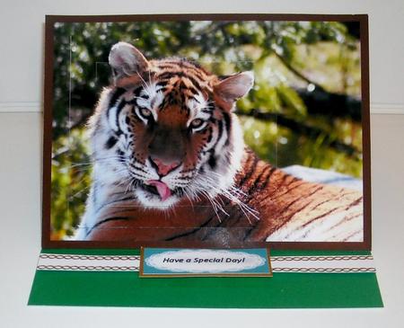 The Eye of the Tiger Topper by Pam Stubley