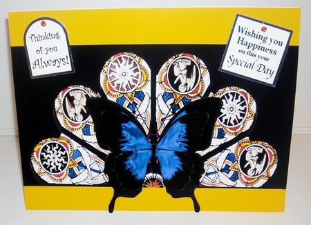 Butterfly Fan by Pam Stubley
