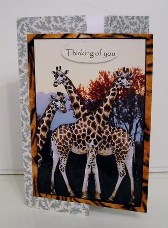 Giraffe Sunset in the Jungle by Pam Stubley