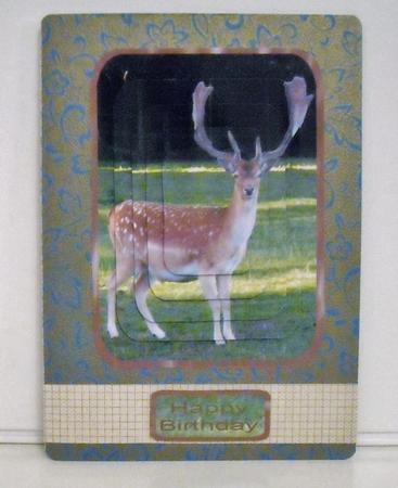 Deer in Early Morning Light by Pam Stubley