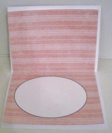 Pink Textured Stripe Insert 1 by Pam Stubley