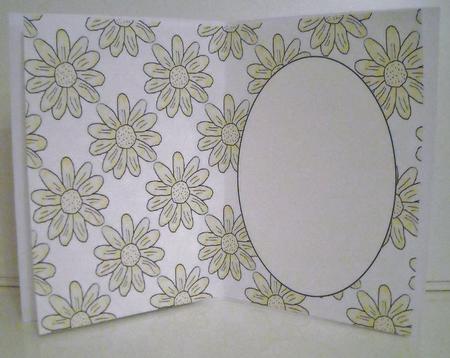 Yellow and White Daisy Insert 2 by Pam Stubley