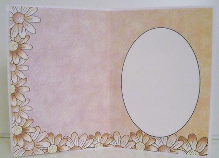Peach Edged Daisy Insert 2 by Pam Stubley