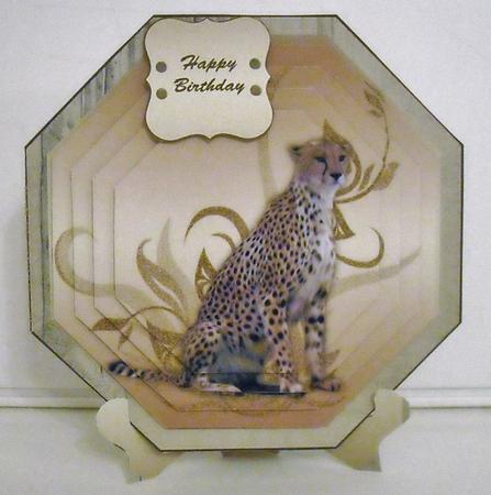 Cheetah Octagonal Plate Card Mini Kit by Pam Stubley