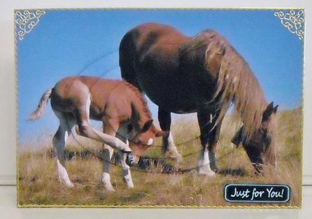 Mare and Foal Oval Pyramid by Pam Stubley