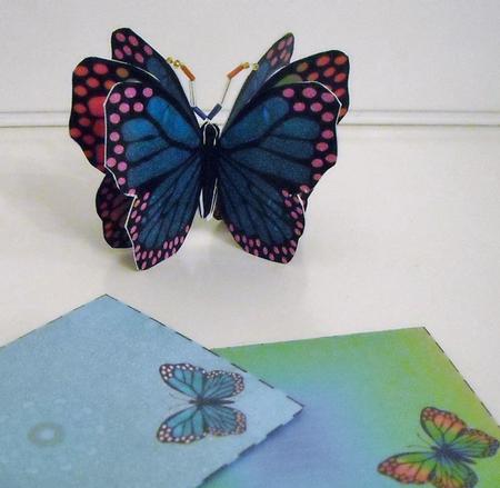 Mini 3D Butterfly (green) Mini Kit by Pam Stubley