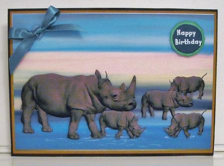 Rhino's Playing at the Waters Edge by Pam Stubley