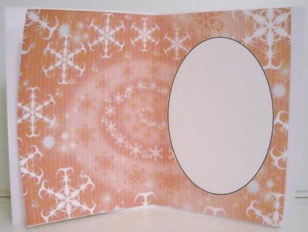 Red Snowflake Insert 1 by Pam Stubley