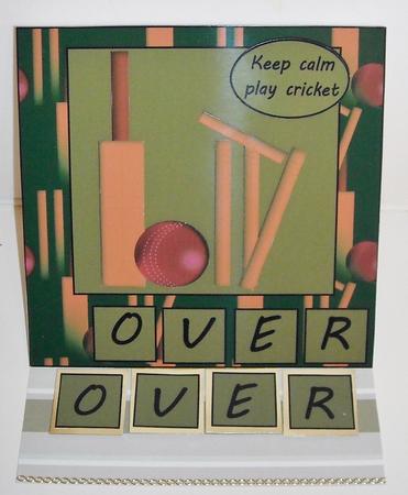 Over (cricket) by Pam Stubley