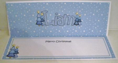Xmas Liam Matching Large Dl Insert by Pam Stubley