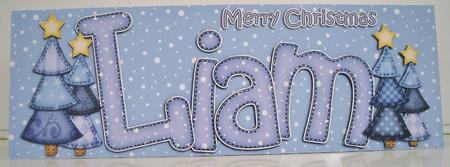 Xmas Large Dl Liam Quick Card N 3D Decoupage by Pam Stubley