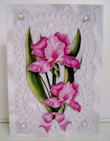 Pink Iris on Vintage Lace with Pearls by Pam Stubley