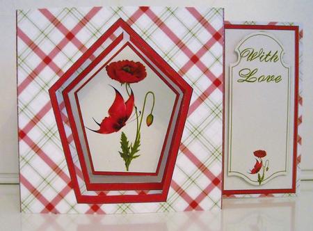 Box Side Aperture Card - Red Poppies by Pam Stubley