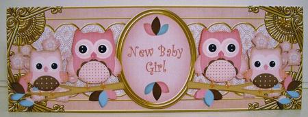 Pink Owls New Baby Girl Large Dl Decoupage Topper by Pam Stubley