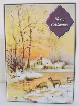 Deer & Snowy River Ink-saving A5 Mini Kit by Pam Stubley