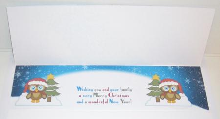 Large Dl Christmas Owl Insert by Pam Stubley