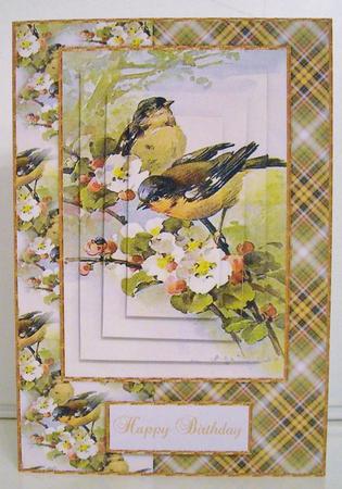 Beautiful Vintage Painted Birds A5 Quick Card by Pam Stubley