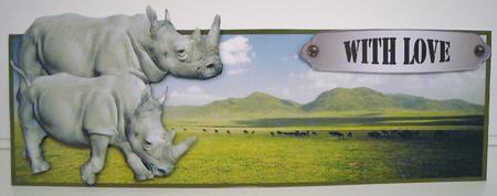Rhino Landscape Over the Edge by Pam Stubley