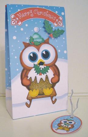 3D Xmas Sledging Owl Gift Box Mini Kit by Pam Stubley